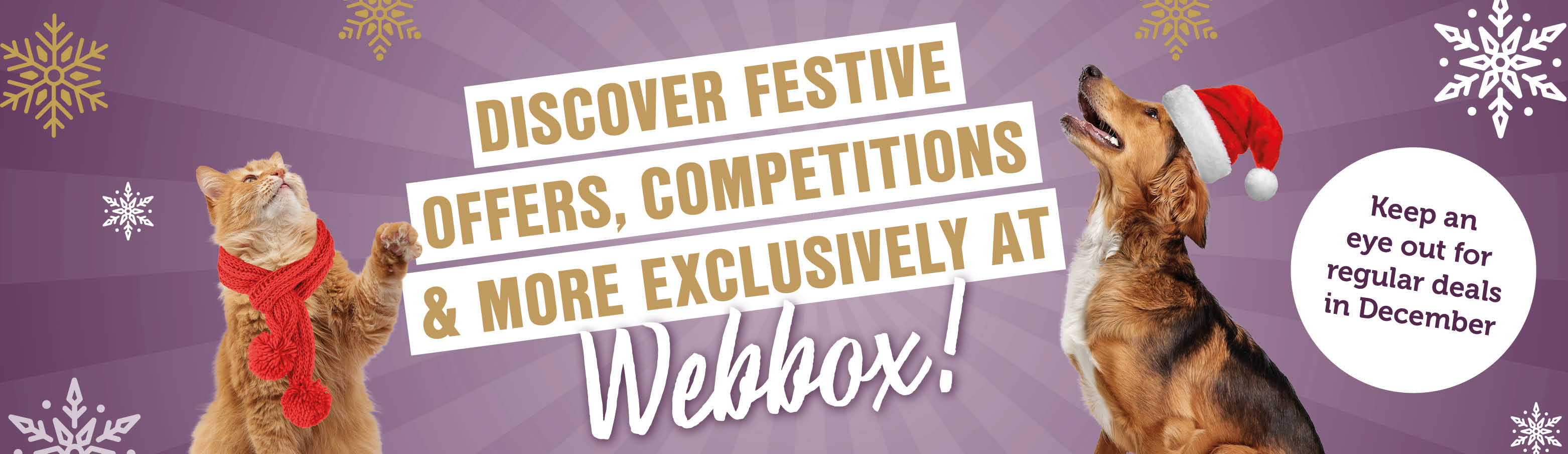 Webbox Festive Banner