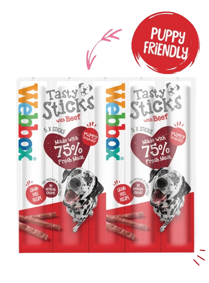 Webbox Tasty Sticks Beef Dog Treats Large