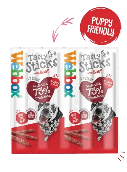 Webbox Tasty Sticks Beef Dog Treats Large