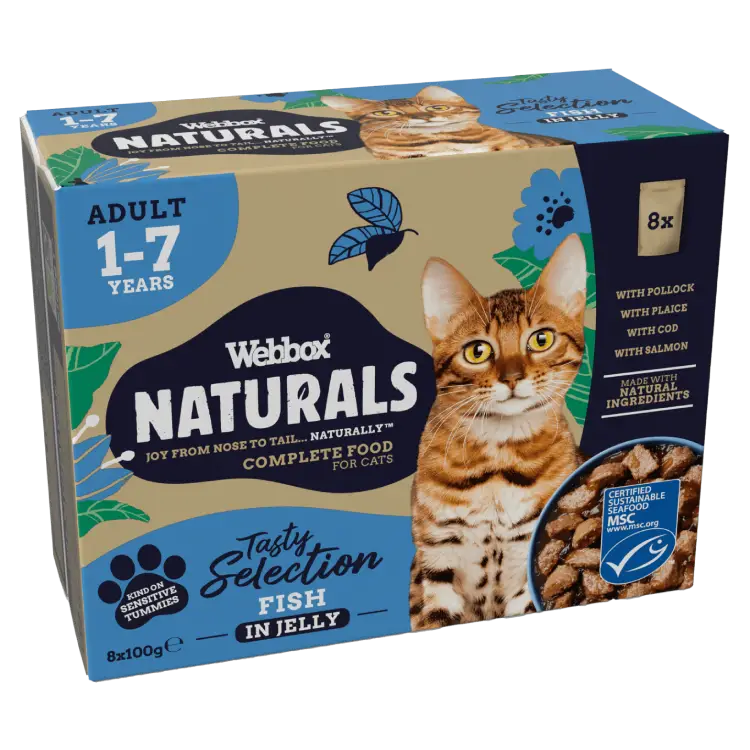 Webbox Naturals Fish in Jelly Wet Cat Food