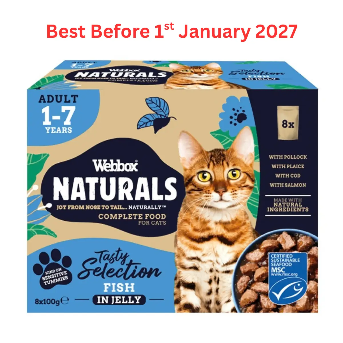Webbox Naturals Fish in Jelly Adult Wet Cat Food 100g
