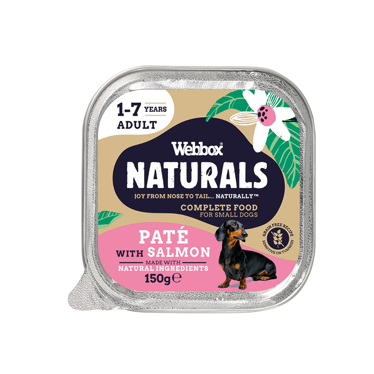 Webbox Naturals Adult Salmon Pate Wet Dog Food