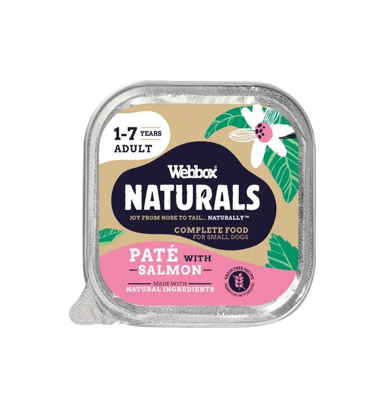 Webbox Naturals Adult Salmon Pate Wet Dog Food