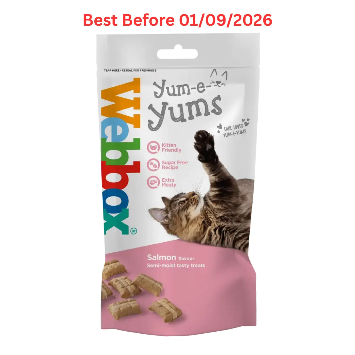 Webbox Yum-e-Yums Salmon Cat Treats 40g