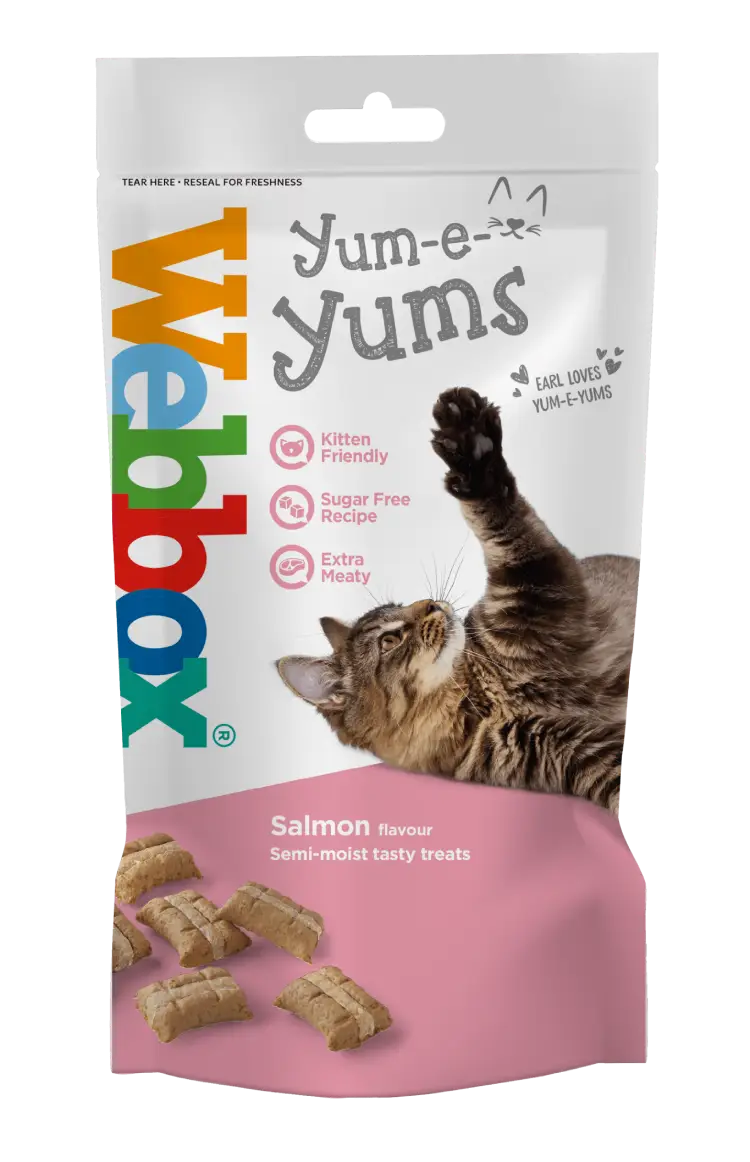 Webbox Yum-e-Yums Salmon Cat Treats