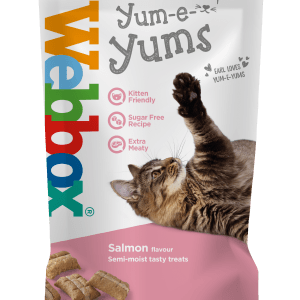 Webbox Yum-e-Yums Salmon Cat Treats