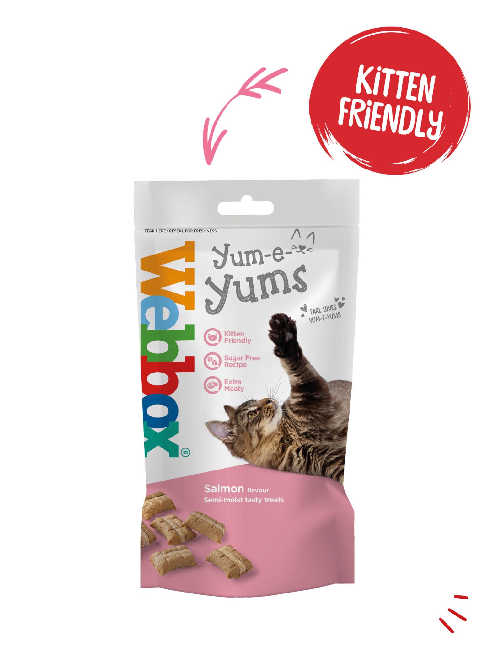Webbox Yum-e-Yums Salmon Cat Treats
