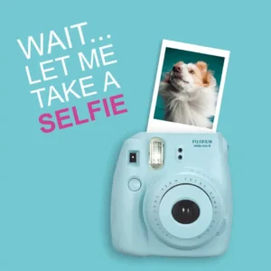 wait let me take a selfie image dogs
