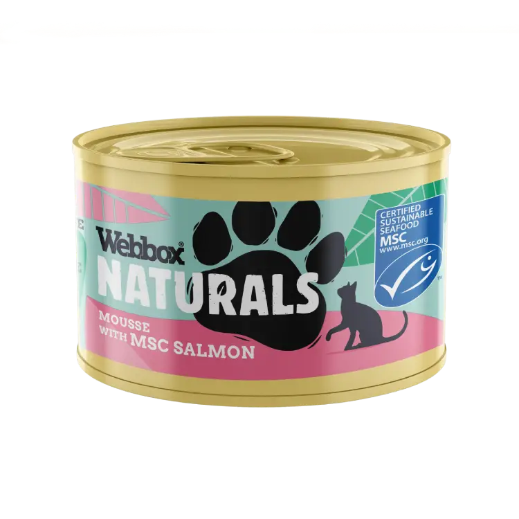 Webbox Naturals Salmon Mousse Wet Cat Food