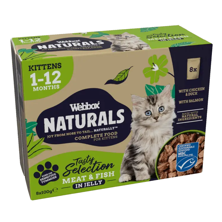 Webbox Naturals Kitten Selection Jelly Wet Cat Food