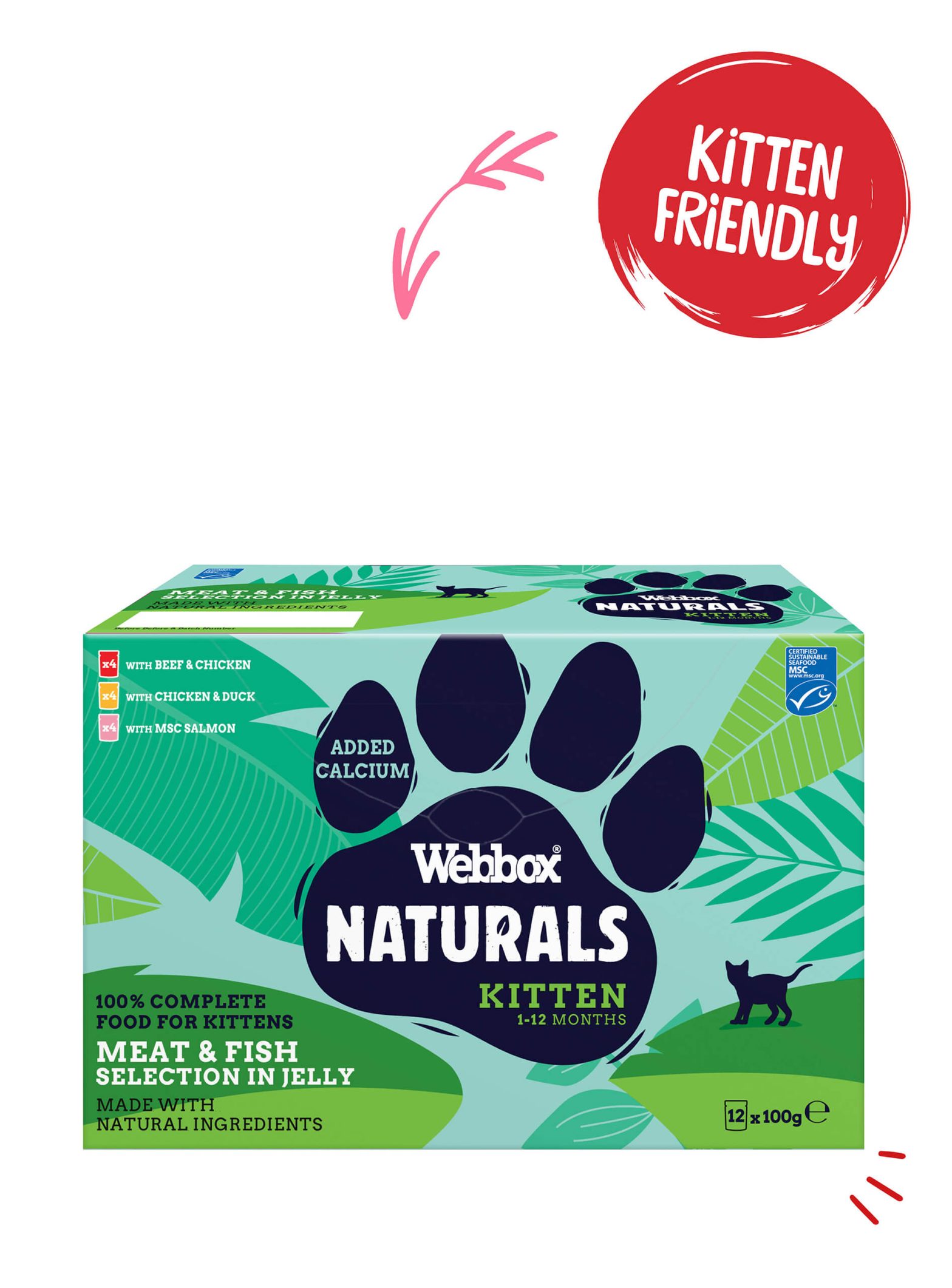 Webbox cat food hotsell
