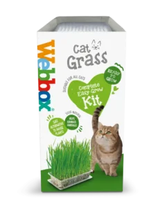 Webbox Cat Grass Easy-Grow Kit