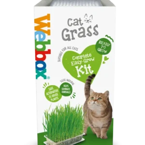 Webbox Cat Grass Easy-Grow Kit - 6 packs (6 x 120g)