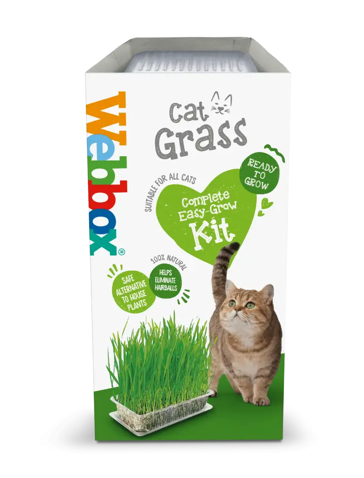 Webbox Cat Grass