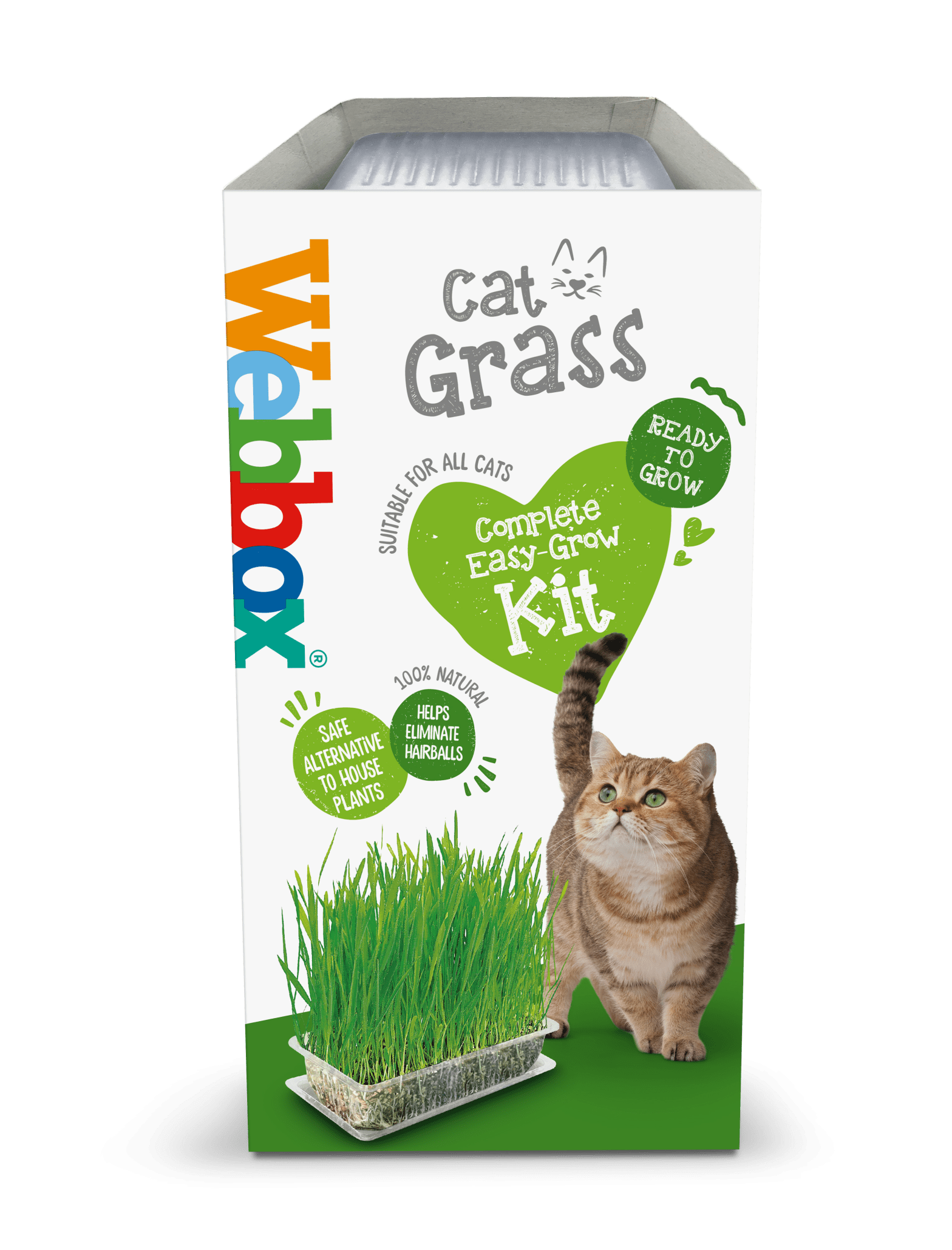 Webbox Cat Grass