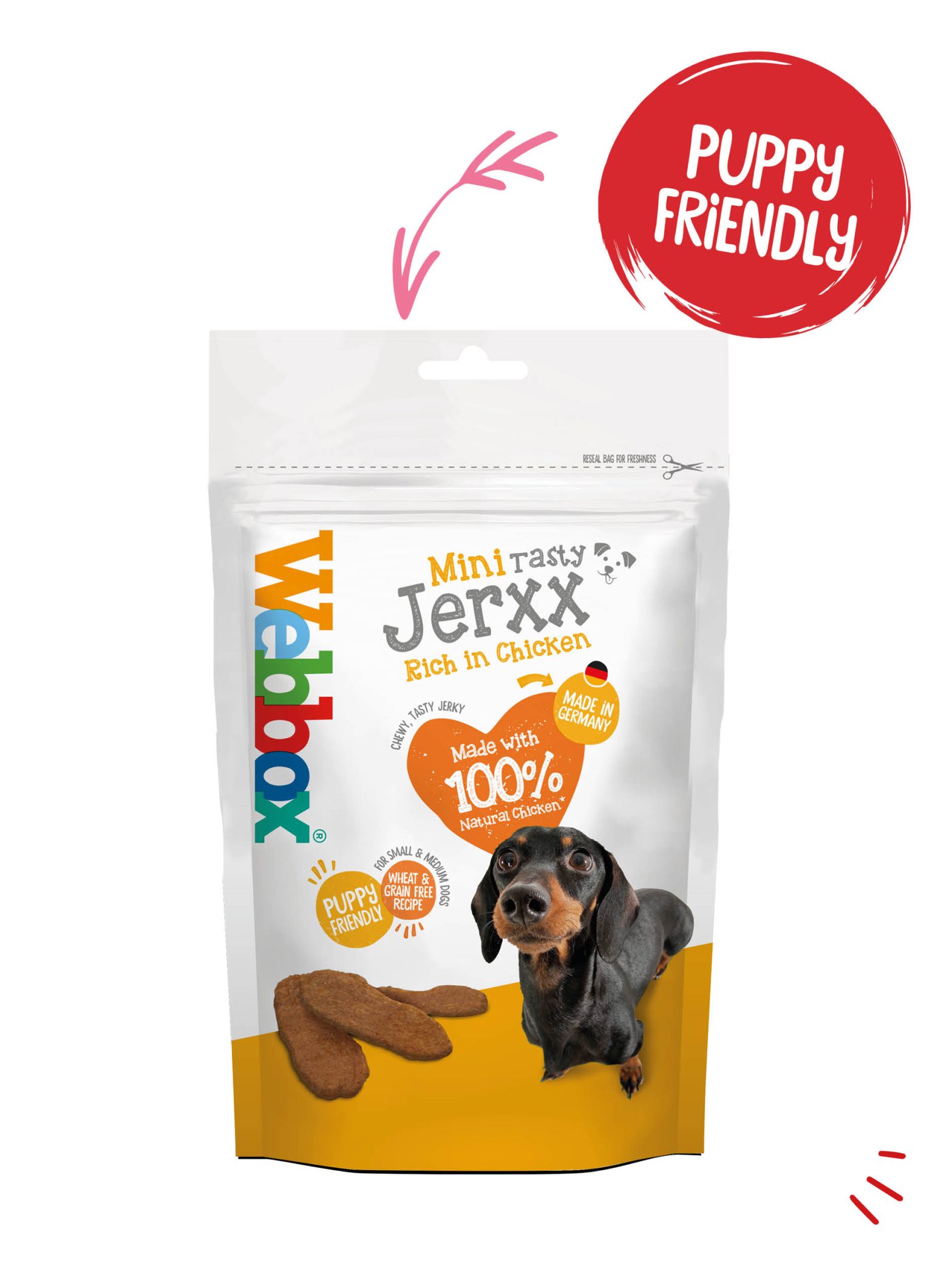 Webbox Mini Tasty Jerxx Chicken Dog Treats