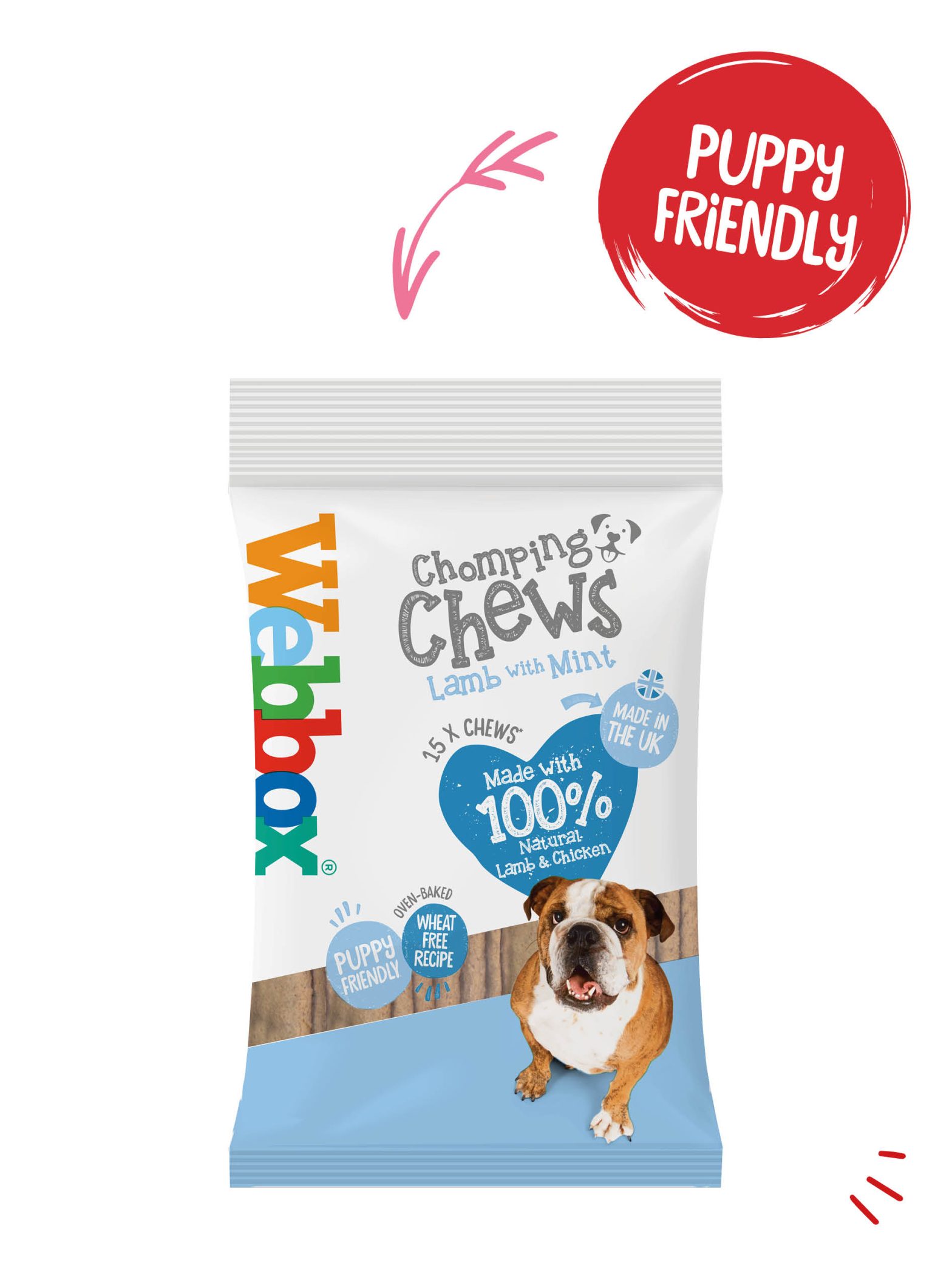 Webbox Chomping Chews Lamb with Mint Dog Treats