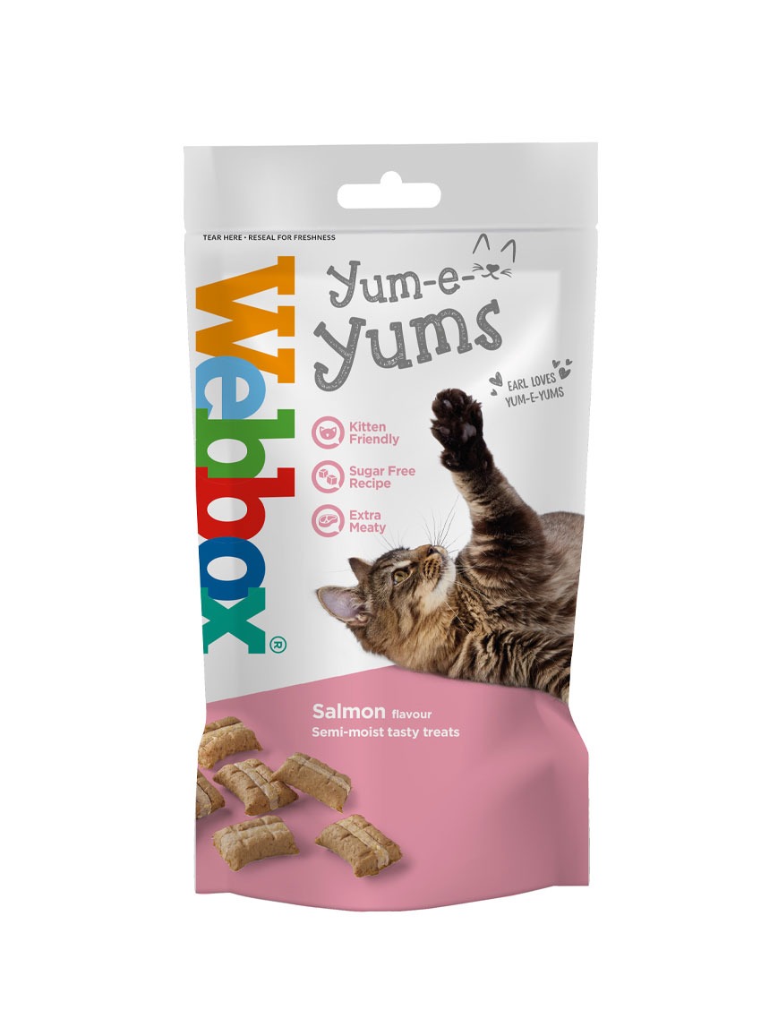 Webbox Yum-e-Yums Salmon Cat Treats