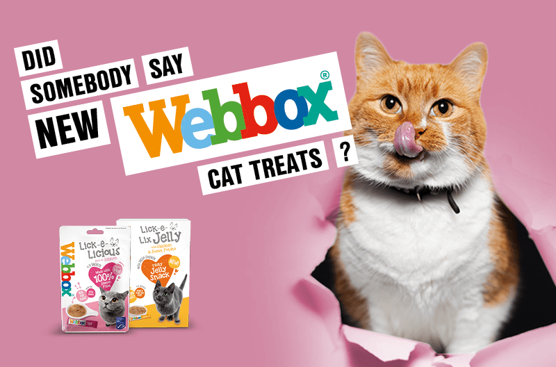 New Webbox Cat Treats