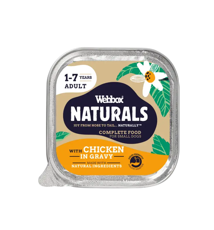 Webbox Naturals Adult Chicken in Gravy Wet Dog Food