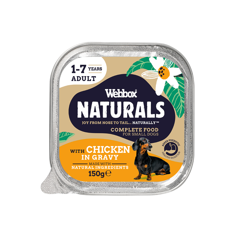 Webbox Naturals Adult Chicken in Gravy Wet Dog Food
