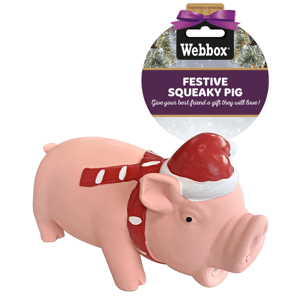 Webbox Christmas Squeaky Pig Dog Toy