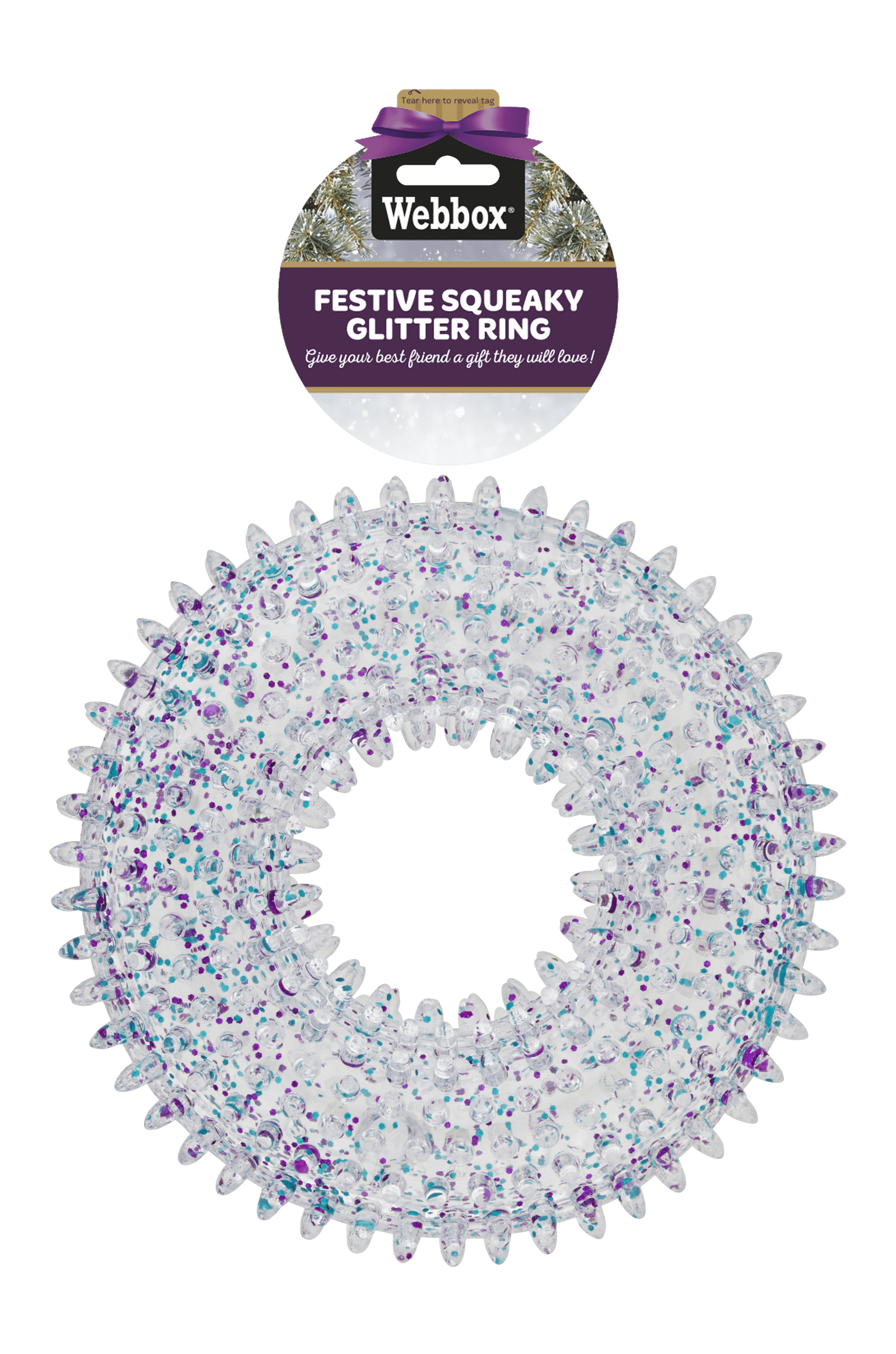 Webbox Christmas Squeaky Glitter Ring Dog Toy