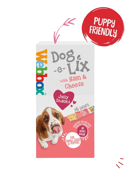 Webbox Dog e Lix with Ham & Cheese Creamy Dog Treats