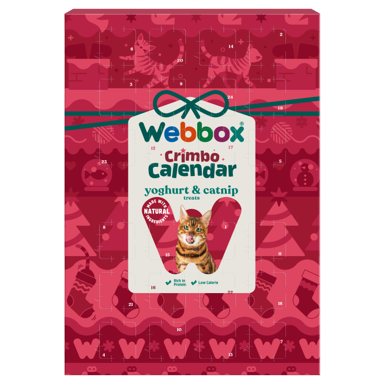 Webbox Christmas Advent Calendar for Cats