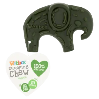 Webbox Chomping Chew Veggie Elephant