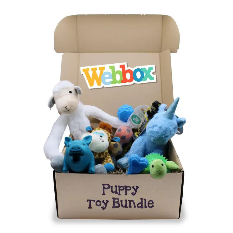 Webbox Puppy Toy Bundle Blue