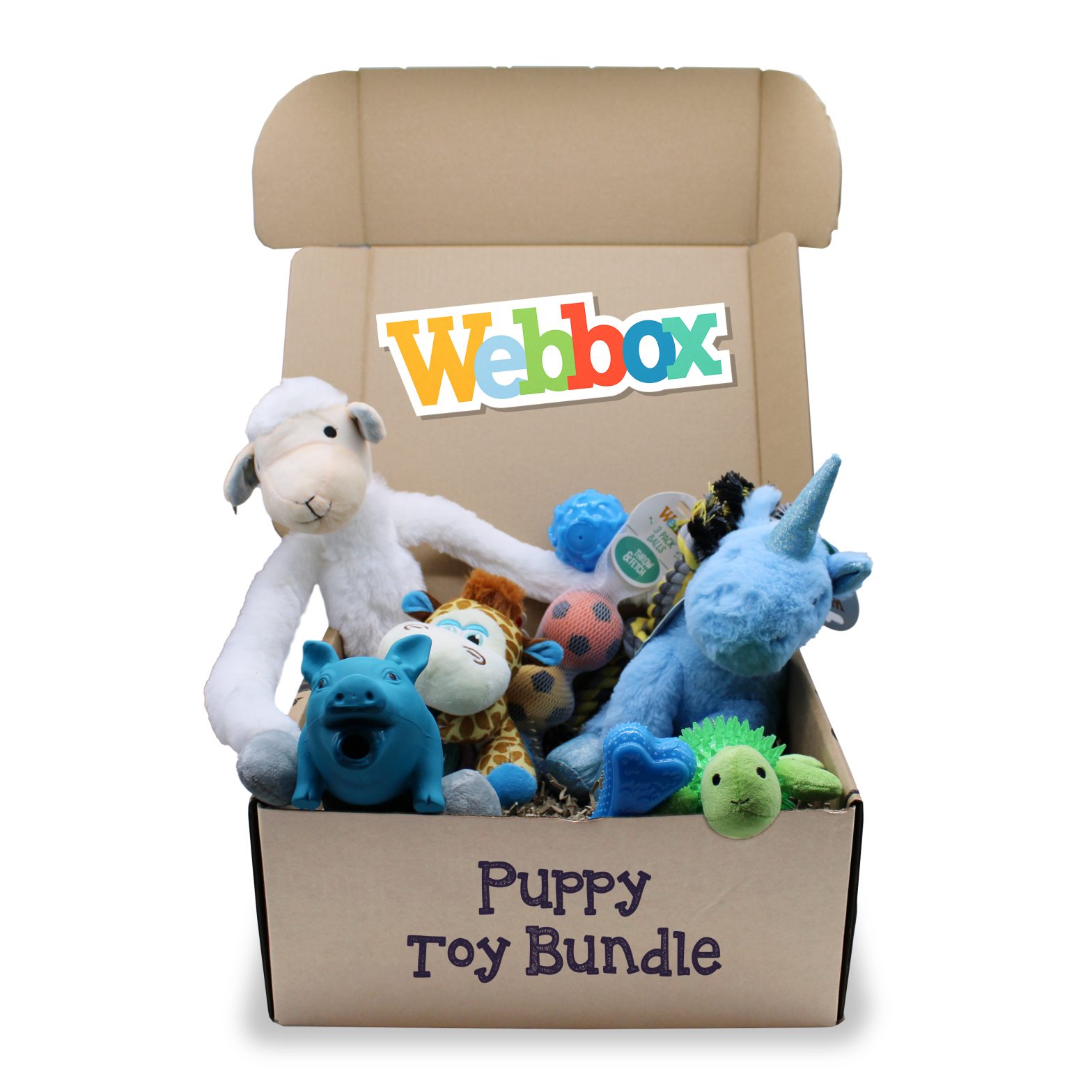 Webbox Puppy Toy Bundle Blue