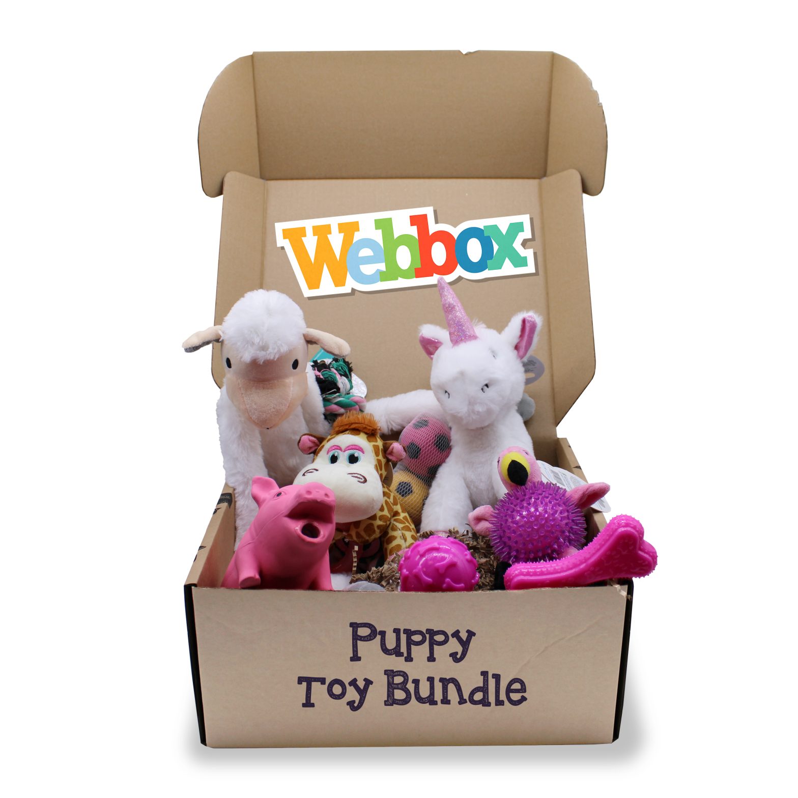 Webbox Puppy Toy Bundle Pink