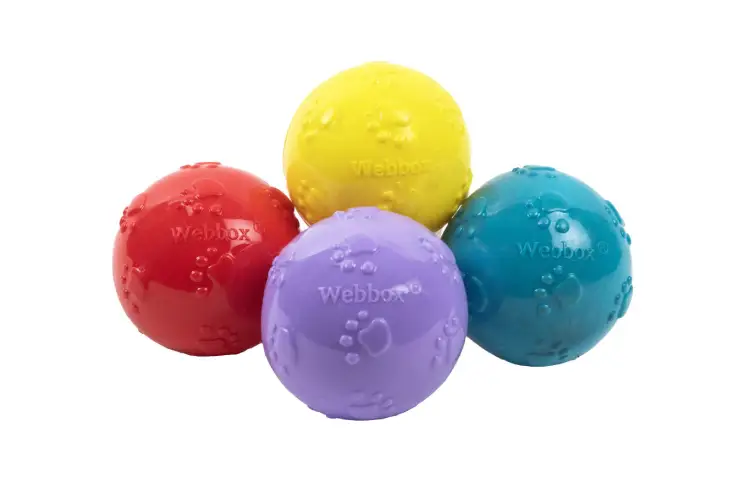 Webbox Squeaky Ball Dog Toy 4 Pack