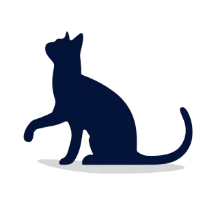Cat adult.