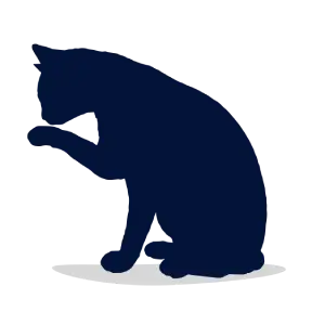 Cat senior.