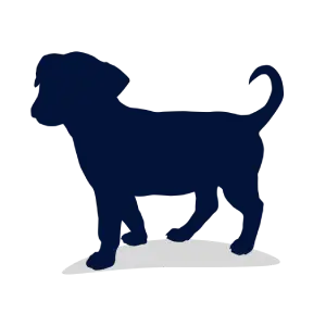 Dog Puppy.