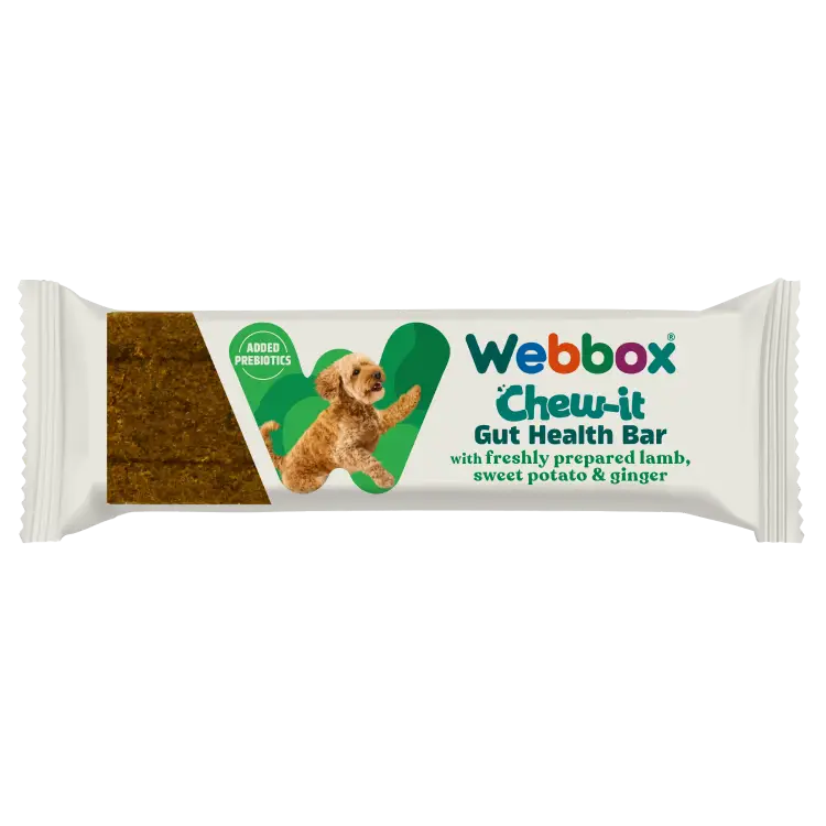 Webbox Chew-It Gut Health Bar Lamb 30g