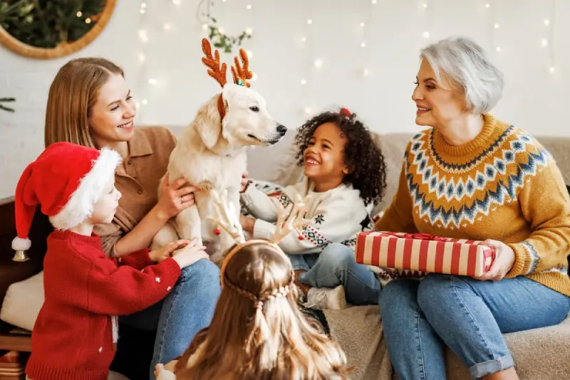 Webbox’s Top 20 Christmas Gifts for Every Type of Dog 2025