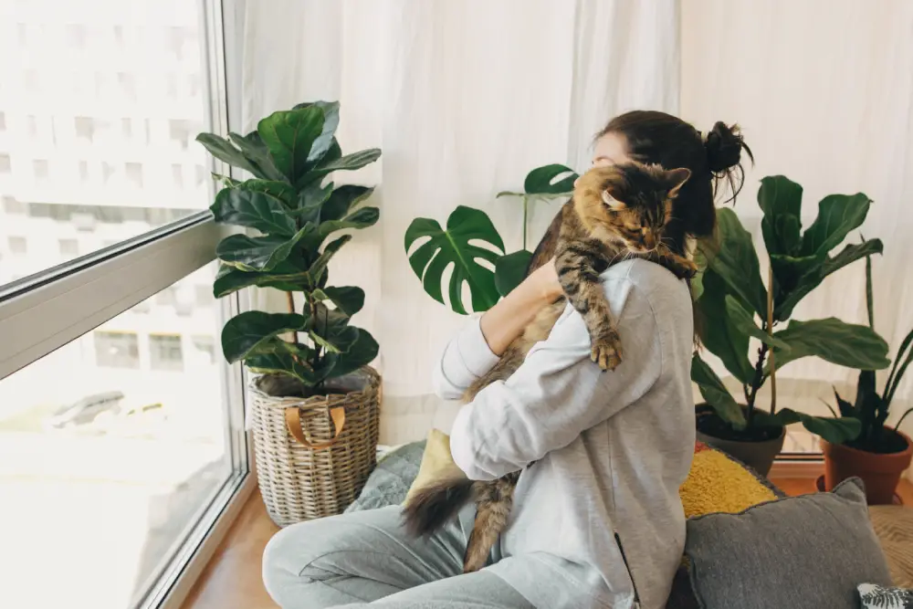 Cat-Safe Houseplants & How to Stop Plant Chewing