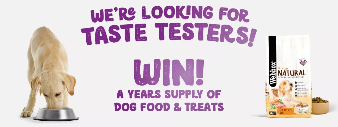 Webbox Dog Food Taster Website